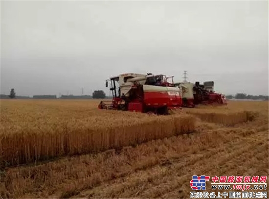 山东三夏麦收大幕全面开启，雷沃全程机械化担纲主演