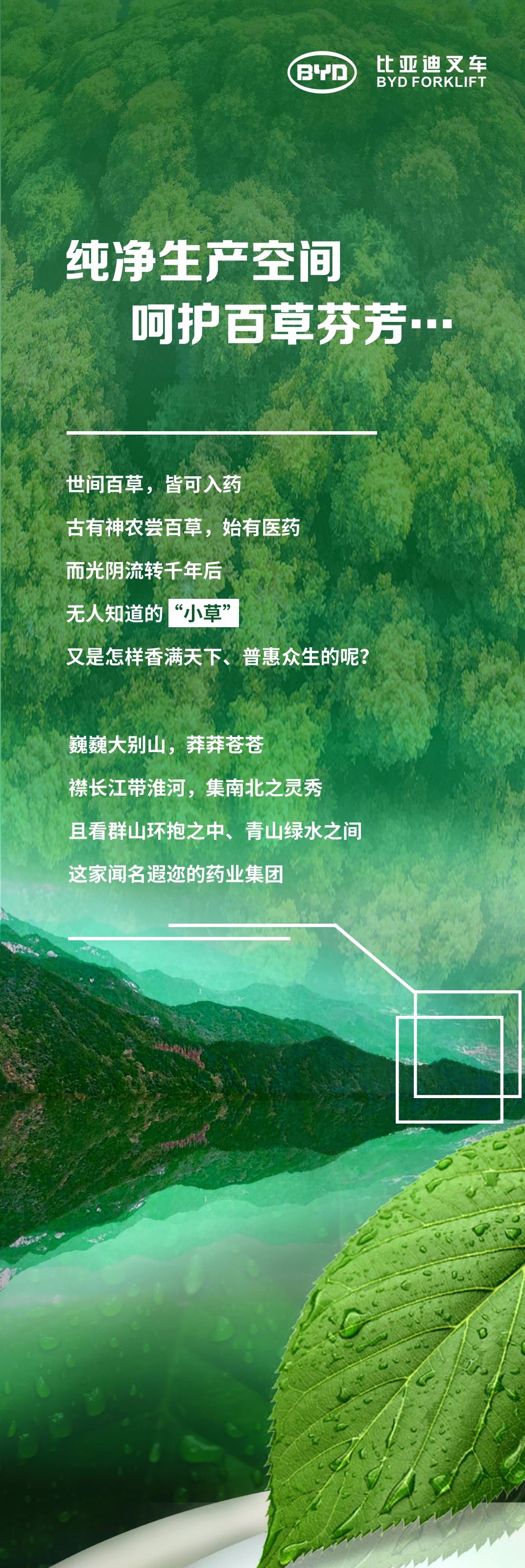 比亞迪：百草芬芳的不變之選，會是怎樣？