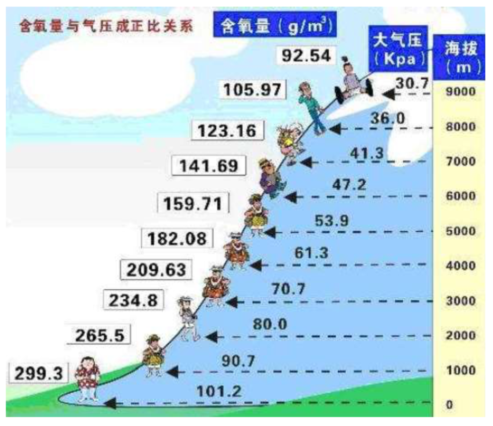 【多圖】Cat®306.5迷你型挖掘機自動適應高海拔細節圖_高清圖