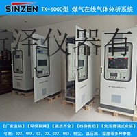 供應新澤儀器TK-6000型循環冷卻氣引風機出口混合氣體在線分析係統